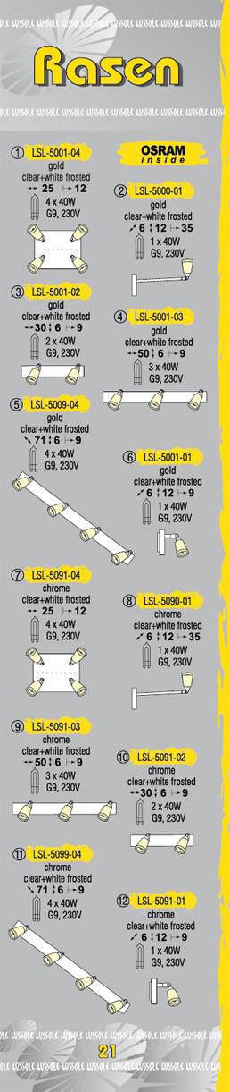 Технические характеристики светильника Rasen LSL-5091-04
