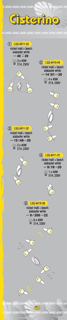 Технические характеристики светильника Cisterino LSQ-6419-04